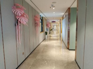 保定藍山醫(yī)療美容醫(yī)院做小腿吸脂怎么樣？