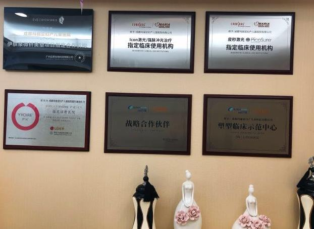 云南瑪麗亞整形美容醫(yī)院_榮譽資質(zhì)
