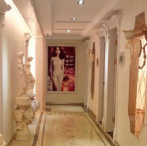 阜陽皇宮醫(yī)學美容診所