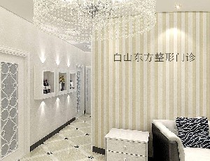 白山東方整形門(mén)診部